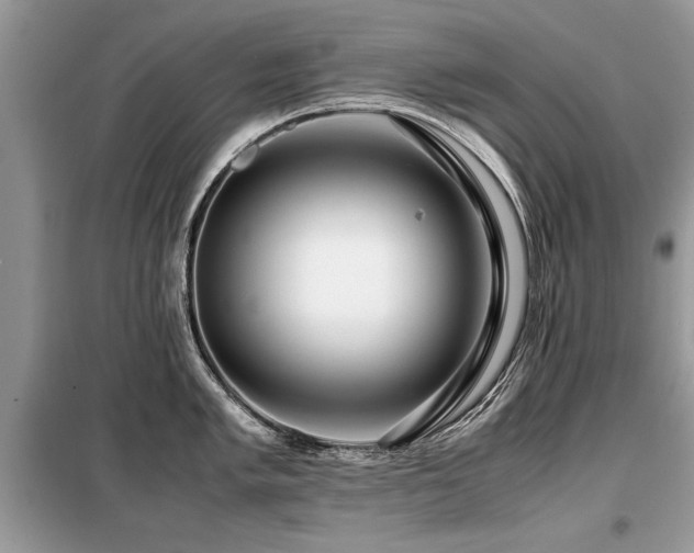X0000099461005200805091524