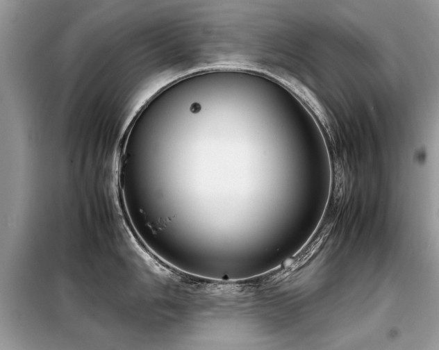X0000099461006200805091524