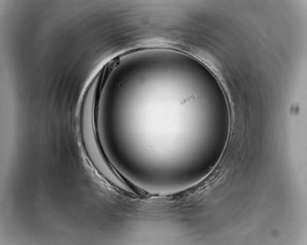 X0000099461008200805091524