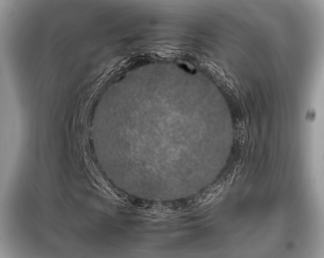 X0000099461009200805091523