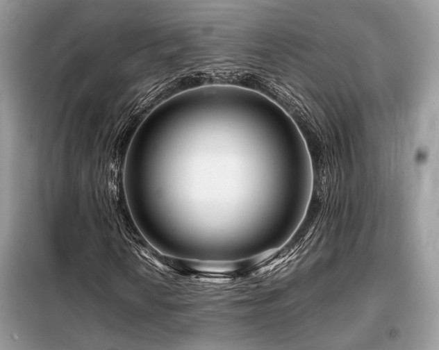 X0000099461010200805091523