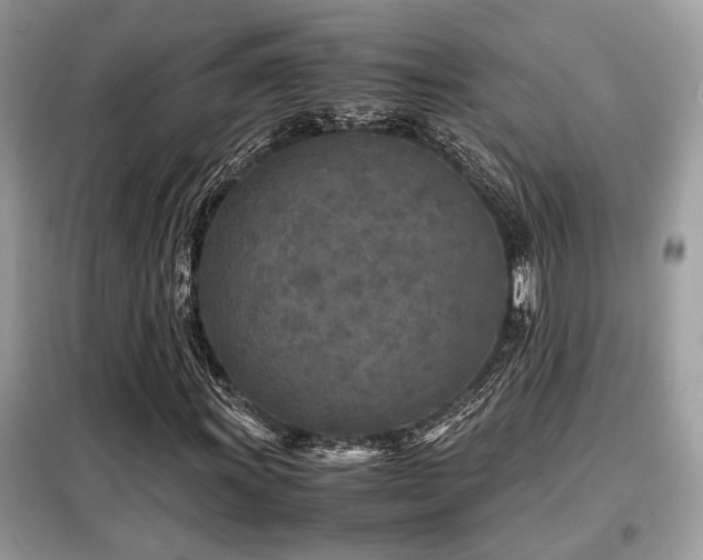 X0000099461011200805091523