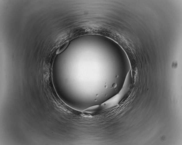 X0000099461012200805091523
