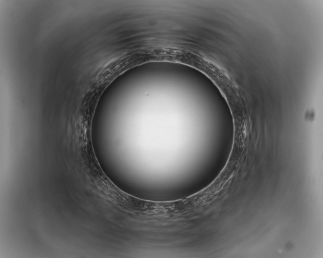 X0000099461013200805091523