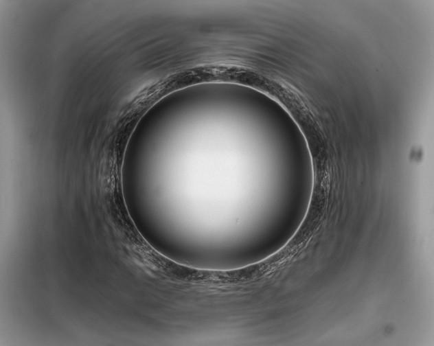 X0000099461014200805091523
