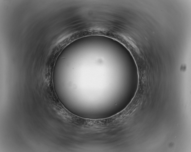 X0000099461015200805091523