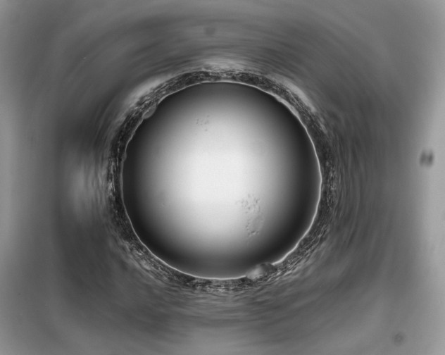 X0000099461016200805091523