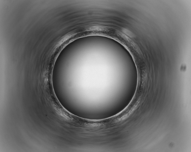 X0000099461017200805091523