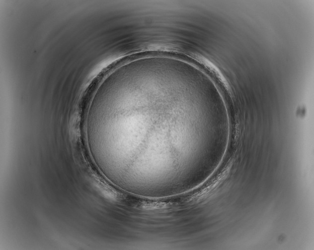 X0000099461019200805091523