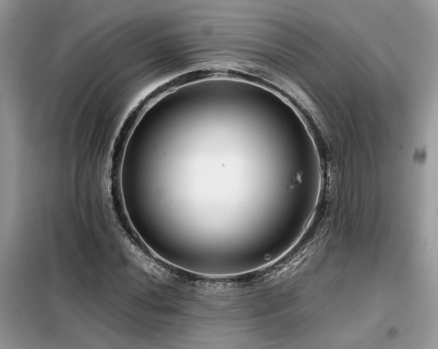 X0000099461020200805091523