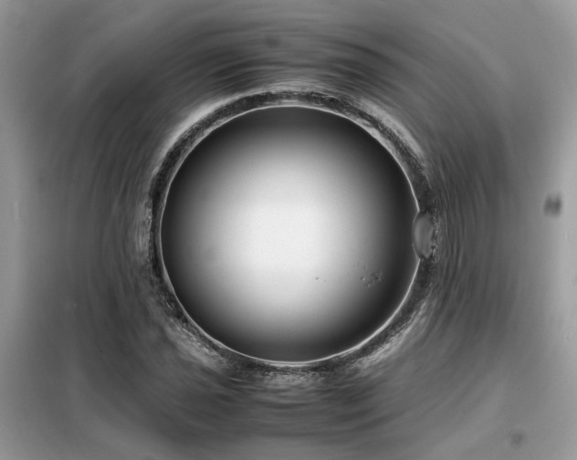 X0000099461021200805091523
