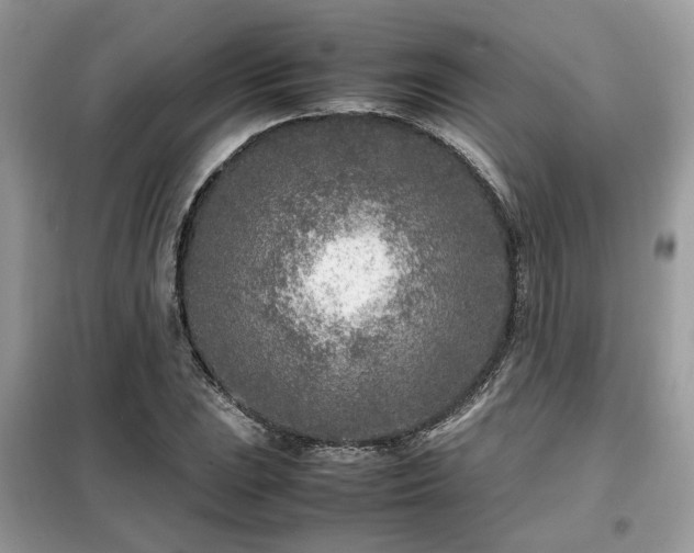 X0000099461023200805091523