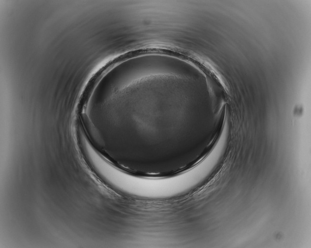 X0000099461024200805091523