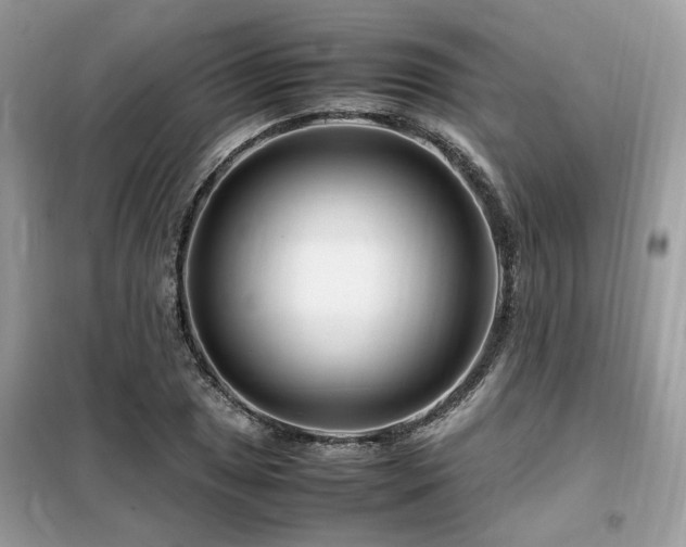 X0000099461025200805091523