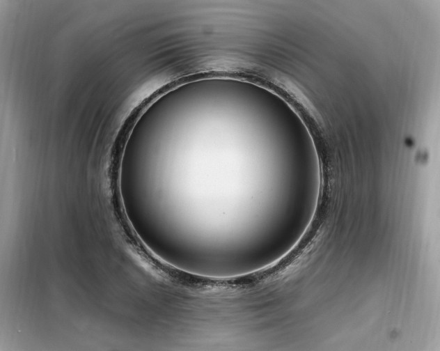 X0000099461026200805091523