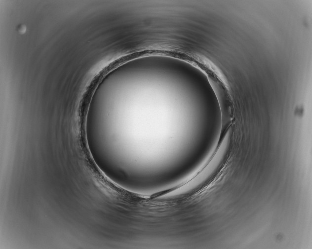 X0000099461027200805091524