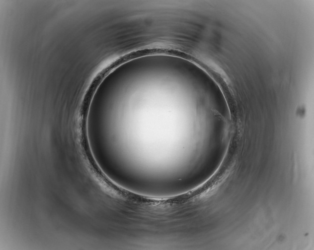 X0000099461029200805091524