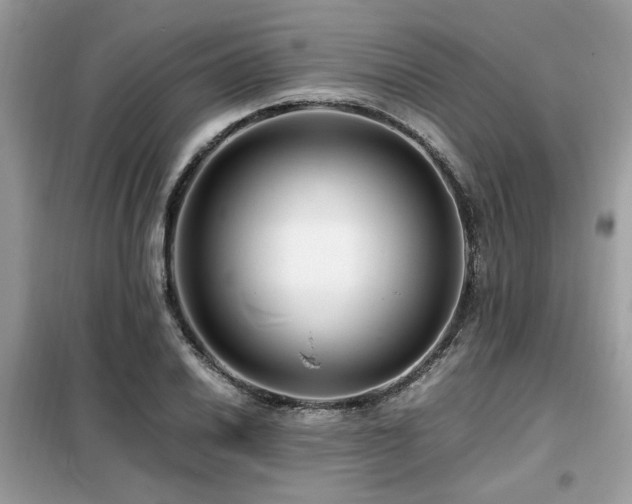 X0000099461030200805091524