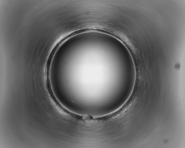 X0000099461032200805091524