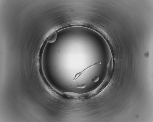 X0000099461034200805091524