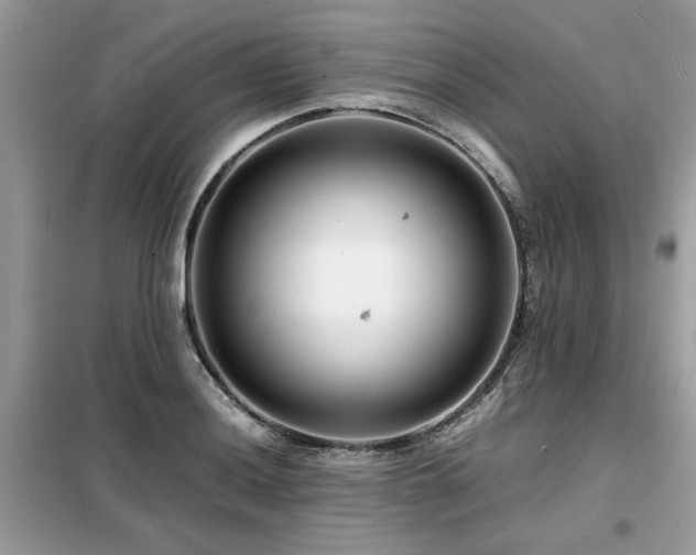 X0000099461036200805091524