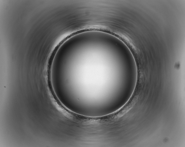 X0000099461038200805091524
