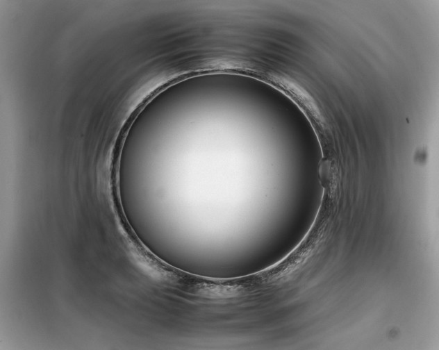 X0000099461039200805091524