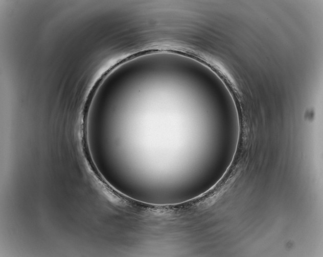 X0000099461040200805091524