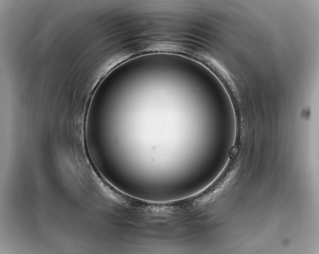 X0000099461041200805091524