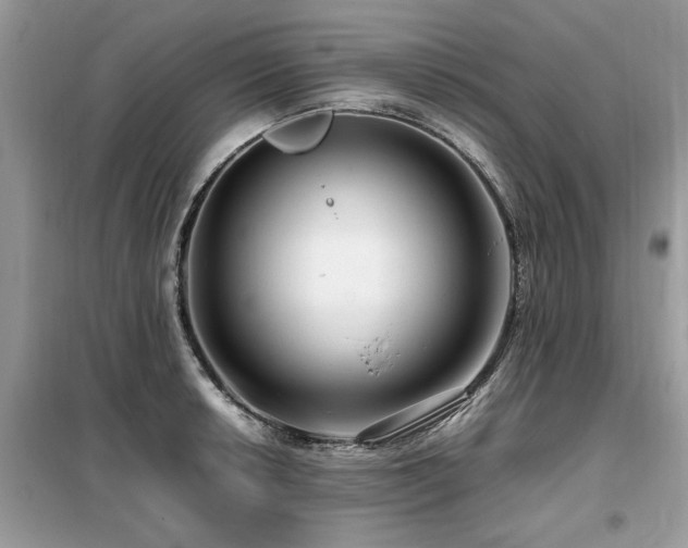 X0000099461042200805091524
