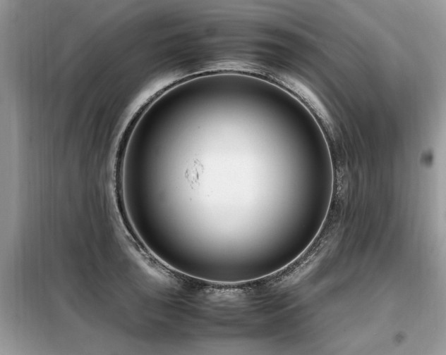 X0000099461043200805091524