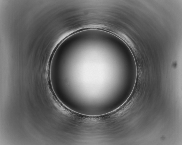 X0000099461044200805091524
