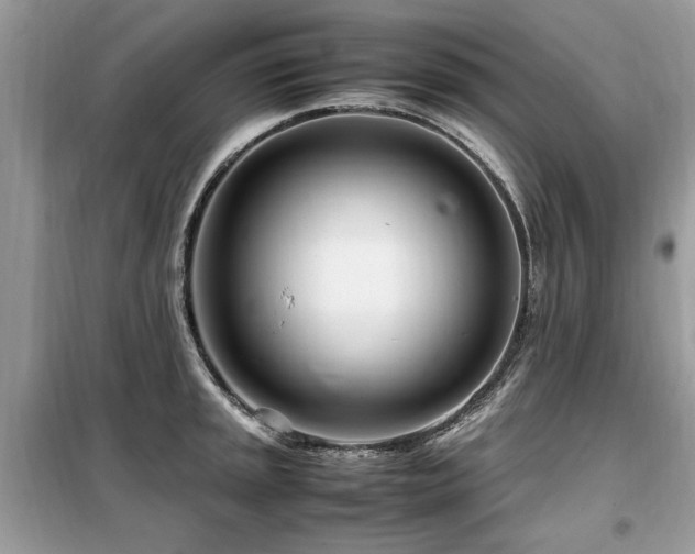 X0000099461045200805091524