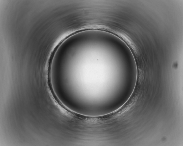 X0000099461046200805091524