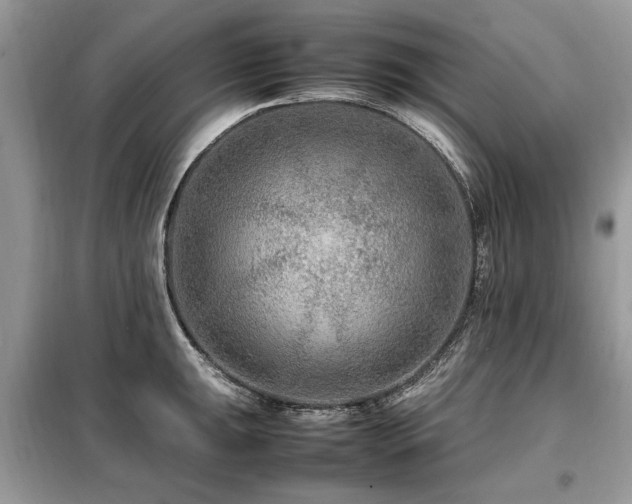 X0000099461047200805091524