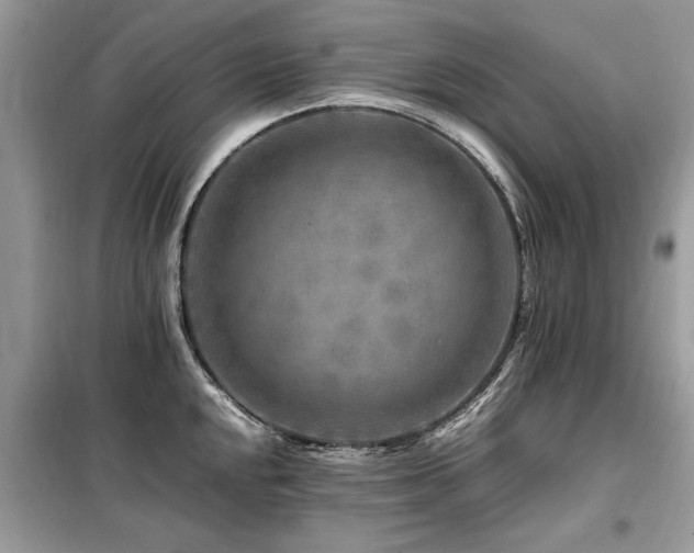 X0000099461048200805091524