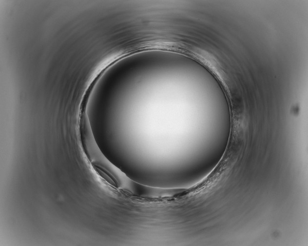 X0000099461050200805091524