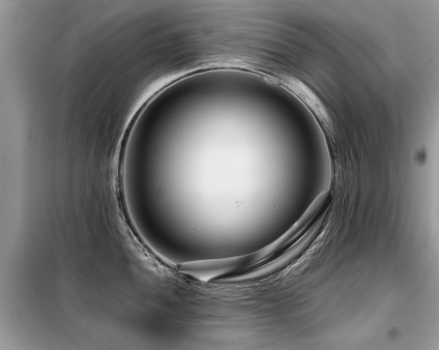 X0000099461052200805091524