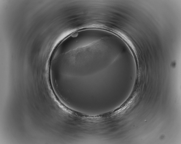 X0000099461053200805091524