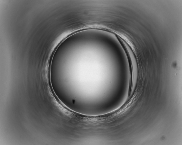 X0000099461054200805091524