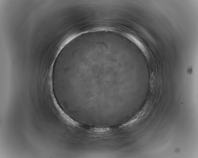 X0000099461055200805091524