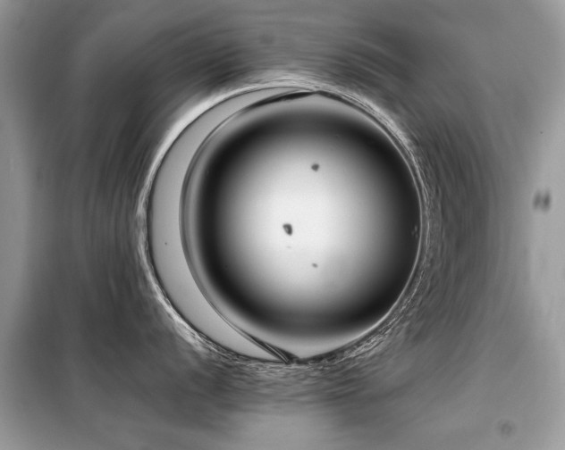 X0000099461056200805091524