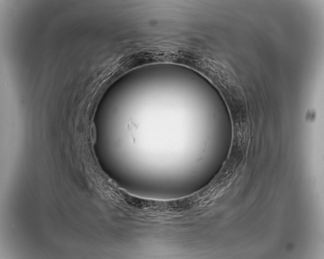 X0000099461057200805091523