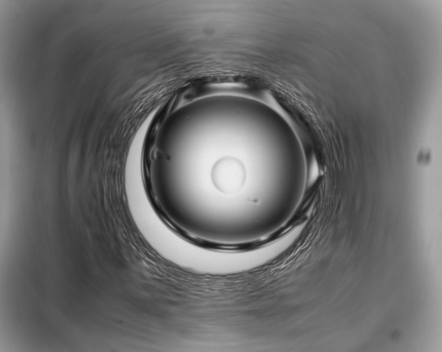X0000099461059200805091523