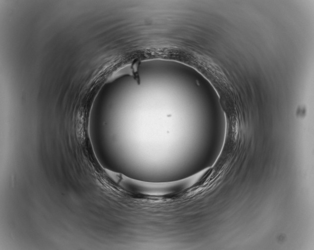 X0000099461060200805091523