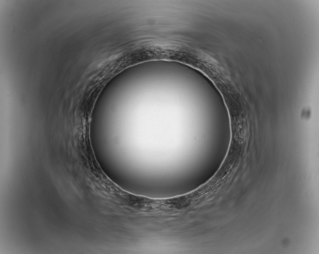 X0000099461061200805091523