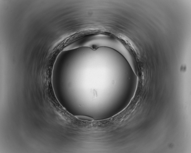 X0000099461064200805091523