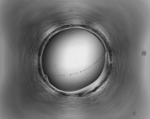 X0000099461065200805091523