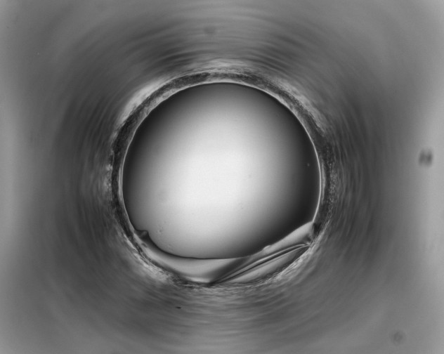 X0000099461066200805091523