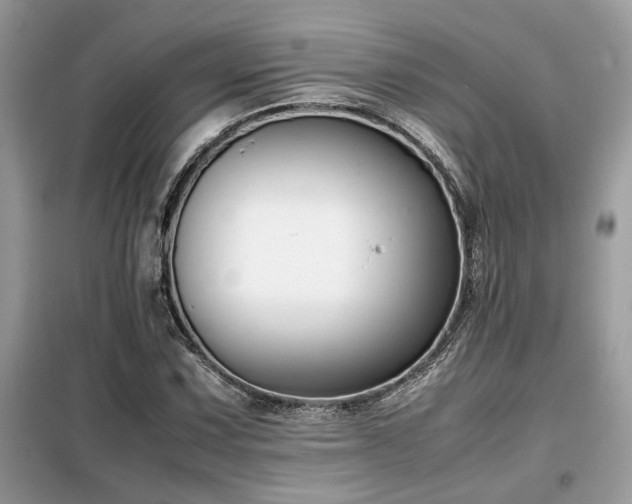 X0000099461067200805091523